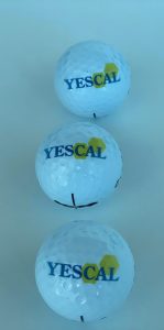 WhatsApp Image 2024-03-27 at 00.05.41